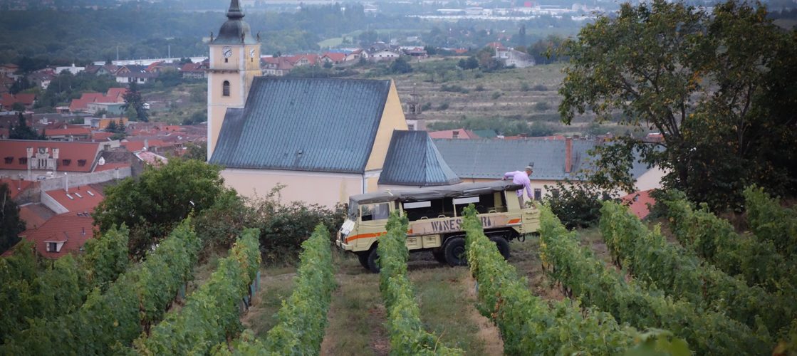WINE SAFARI WINESAFARI SVATY JUR SLOVAKIA -100002