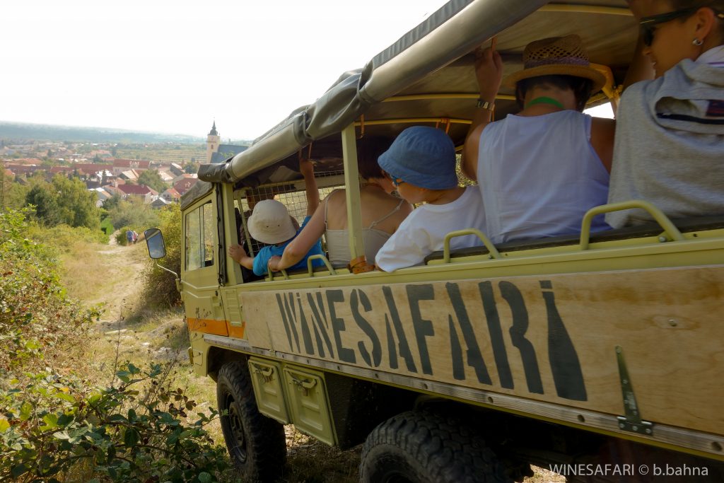 WINESAFARI Svaty Jur Slovakia local glass of wine tasting attraction the best guided tour outdoor fun Pinzgauer new experience vineyards in Bratislava area close to Vienna Austria in Central Europe perfect day with kids in slovakia