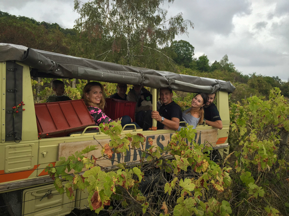 WINESAFARI Svaty Jur Slovakia local glass of wine tasting attraction the best guided tour outdoor fun Pinzgauer new experience vineyards in Bratislava area close to Vienna Austria in Central Europe teambuilding like never before in slovakia