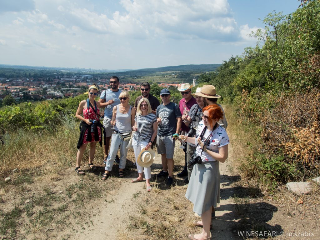 WINESAFARI Svaty Jur Slovakia local glass of wine tasting attraction the best guided tour outdoor fun Pinzgauer new experience vineyards in Bratislava area close to Vienna Austria in Central Europe. build your team during team building in the vineyards