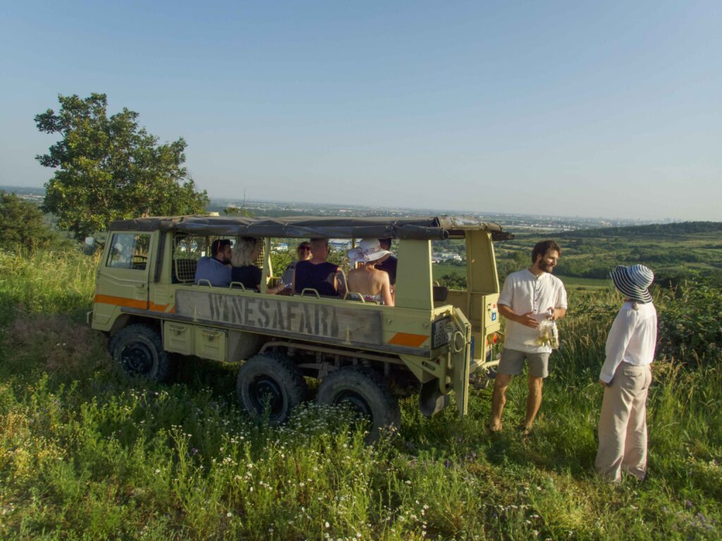 WINESAFARI Svaty Jur Slovakia local glass of wine tasting attraction the best guided tour outdoor fun Pinzgauer new experience vineyards in Bratislava area close to Vienna Austria in Central Europe sunsent in slovakia