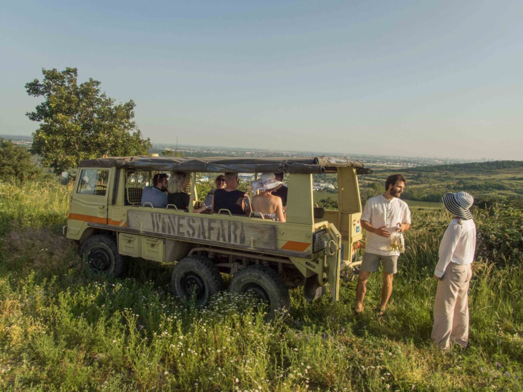 WINESAFARI Svaty Jur Slovakia local glass of wine tasting attraction the best guided tour outdoor fun Pinzgauer new experience vineyards in Bratislava area close to Vienna Austria in Central Europe bratislava view from the vineyards
