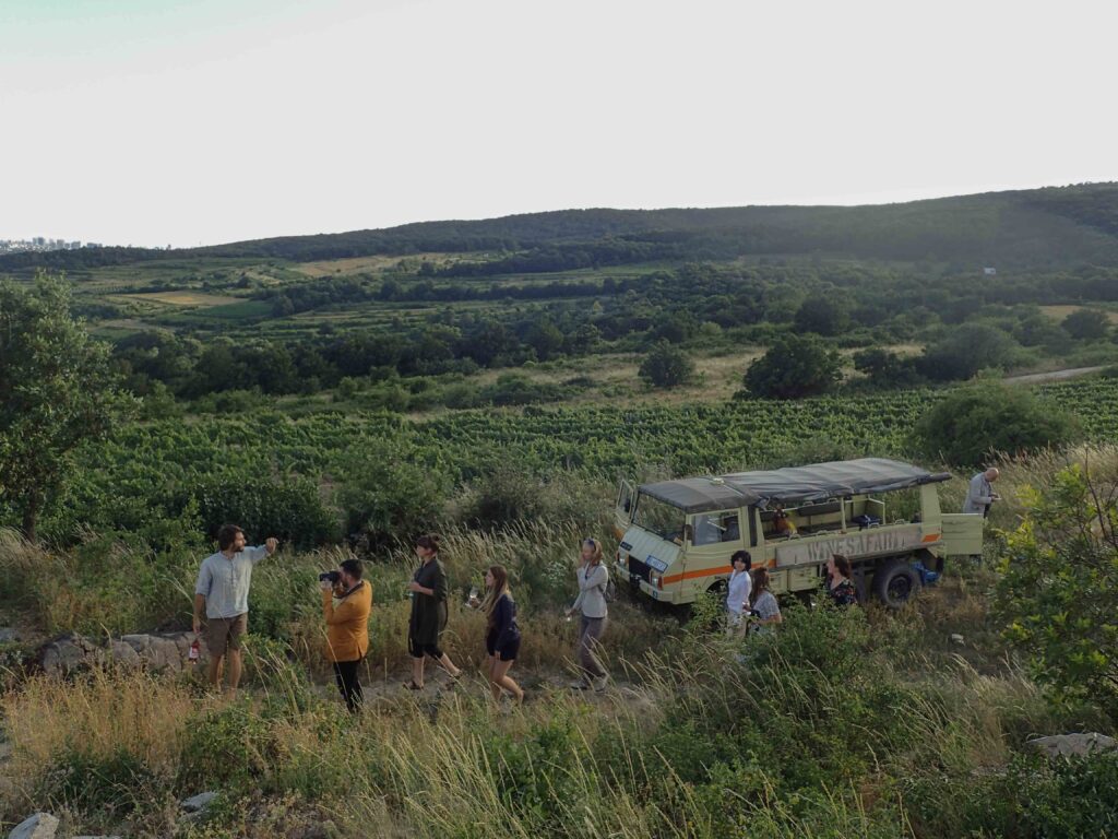 WINESAFARI Svaty Jur Slovakia local glass of wine tasting attraction the best guided tour outdoor fun Pinzgauer new experience vineyards in Bratislava area close to Vienna Austria in Central Europe private photo shooting slovak vineyards