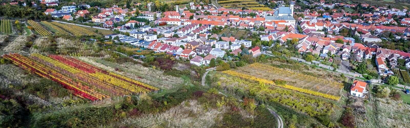 WINESAFARI Svaty Jur Slovakia local glass of wine tasting attraction the best guided tour outdoor fun Pinzgauer new experience vineyards in Bratislava area close to Vienna Austria in Central Europe svaty jur from the sky fly drone in slovakia