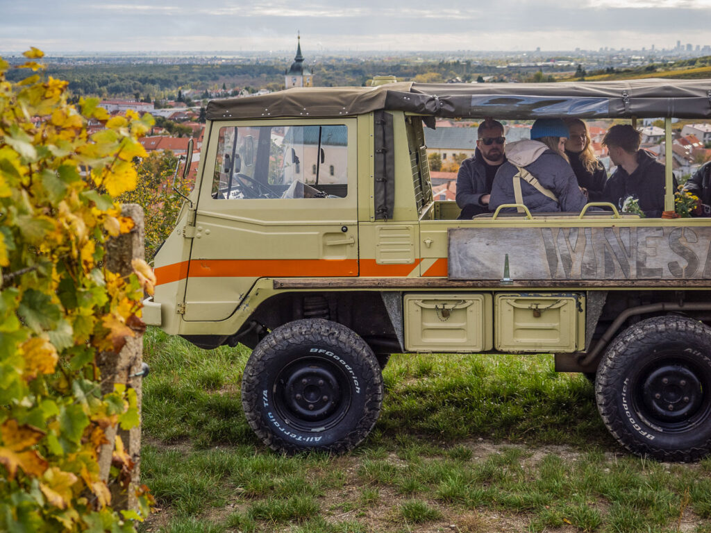 WINESAFARI Svaty Jur Slovakia local glass of wine tasting attraction the best guided tour outdoor fun Pinzgauer new experience vineyards in Bratislava area close to Vienna Austria in Central Europe tourist attraction next to Bratislava and vienna