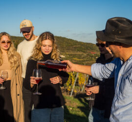 WINESAFARI Svaty Jur Slovakia local glass of wine tasting attraction the best guided tour outdoor fun Pinzgauer new experience vineyards in Bratislava area close to Vienna Austria in Central Europe drink good slovak wine and have a great winetasting with friends in slovakia